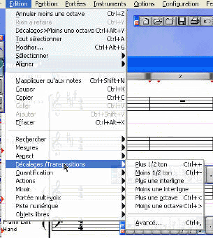 melody assistant custom tab